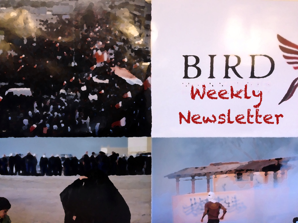 bird newsletter no47  image